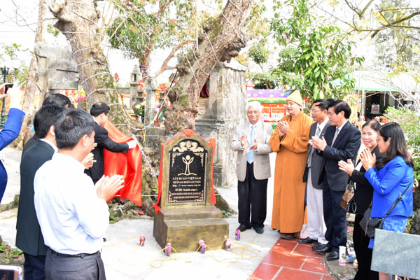Hải[-]Phòng:[-]Hai[-]cây[-]cổ[-]thụ[-]bên[-]ngôi[-]đền[-]đá[-]linh[-]thiêng[-]nhất[-]của[-]Tiên[-]Lãng[-]được[-]vinh[-]danh[-]Cây[-]Di[-]sản[-]Việt[-]Nam